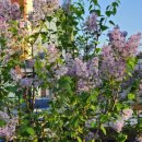 2호선 두류역 6번출구 앞 | [대구 평리동] 두류역맛집 노포 감성 '옛날솥뚜껑삼겹살' 솔직 후기