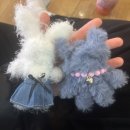 수원 카닥터 | 소소하지만soso하지않은!