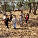 큰숲어린이집 이미지