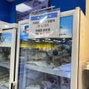 굿윌스토어 밀알대전유성점 | 착한 가게 굿윌스토어 유성점에서 구매, 교환, 기증 싹 다 해본 후기