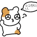 동탄 테니스 플레이테니스아카데미 동탄호수공원점 레슨후기