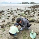 남해단 | 남해 투민펜션&amp;스파카라반 아이와 꽃게 잡으러 간 내돈내산 후기