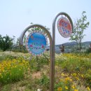 무장초등학교 이미지