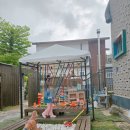 오떼떼 블루 이미지