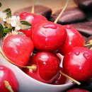 체리 이미지