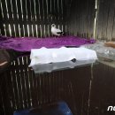 경남야생동물구조센터 이미지