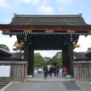 도리4천 이미지