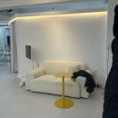 브로우코드 속눈썹&눈썹 이미지