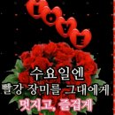 행복한하루 이미지