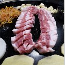 돼지삼촌 이미지