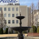 팥나라 | 팥과 된장의 나라