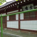 부강초등학교 이미지