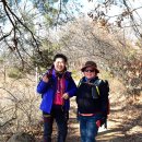 염하강철책길 이미지