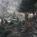 와우정사 이미지
