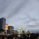 🛥후쿠오카 나카스강 리버크루즈 내돈내산 후기😎💕 (와그 예약)