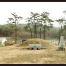 조정만묘 이미지