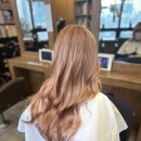 고아라헤어샵