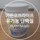 라이프가든 | 부모님 단백질 보충제 추천! 유기농 식물성 프로틴 가든오브라이프 후기