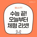 웰니스717 | 수능 끝! 이제는 내 몸을 챙길 시간 | 서귀포 웰니스717 체형·근력 점검 후기