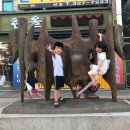 부천두리유치원 이미지