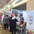 트래블마켓