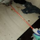 하우스케어 이미지