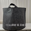 카펫트 화분판매 이미지