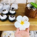 통도신발 이미지
