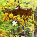 전등사매표소(동문) 이미지