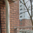 하단동146 이미지