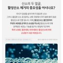 비타민365