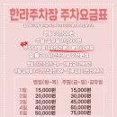 제주도 여행) Jeju Island 4박5일 여행코스(김포공항 한라주차장 이용후기+제주도 해피렌트카/셀토스)