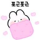 여수 유니코풀빌라펜션 이미지