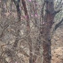 낙성대역 1번출구 이미지