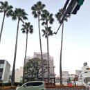 사천시 여성회관 화장실 | 도쿠시마 여행② 아와오도리 회관 (이온몰 가는 방법과 버스 타는 곳)