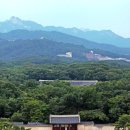 화신상회 이미지