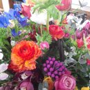 이정호축사 이미지