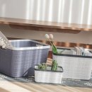 다올3호 이미지