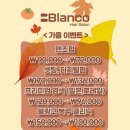 블랑코헤어 - 관악구 남현길 3 | 블랑코헤어