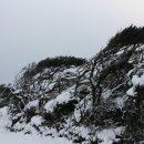 바람이 불어오는 곳 이미지