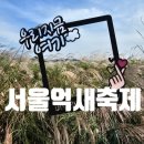 세스페데스공원 앞 보도 | 서울가볼만한곳 마포 하늘공원 서울억새축제 후기