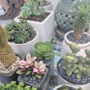 송도홈런공인중개사사무소 이미지