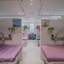 부부탑의원 이미지