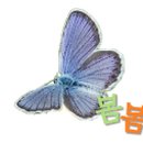 봄봄부동산공인중개사사무소 이미지