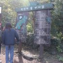 비자숲길15 | 비자림숲길, 자연 그대로의 숲, 치유-휴식-힐링의 공간