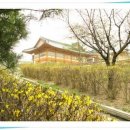 춘향테마파크 어린이 이미지