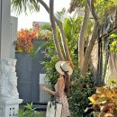 (주)제주신화항공여행사 | 발리 항공권 가격 제주항공 직항 30만원대 특가