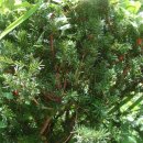 장자골민박 이미지