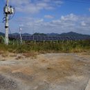 송암상회 이미지