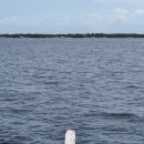 뱅크트리 이미지